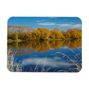 Autumn Along the Clutha River Magnet