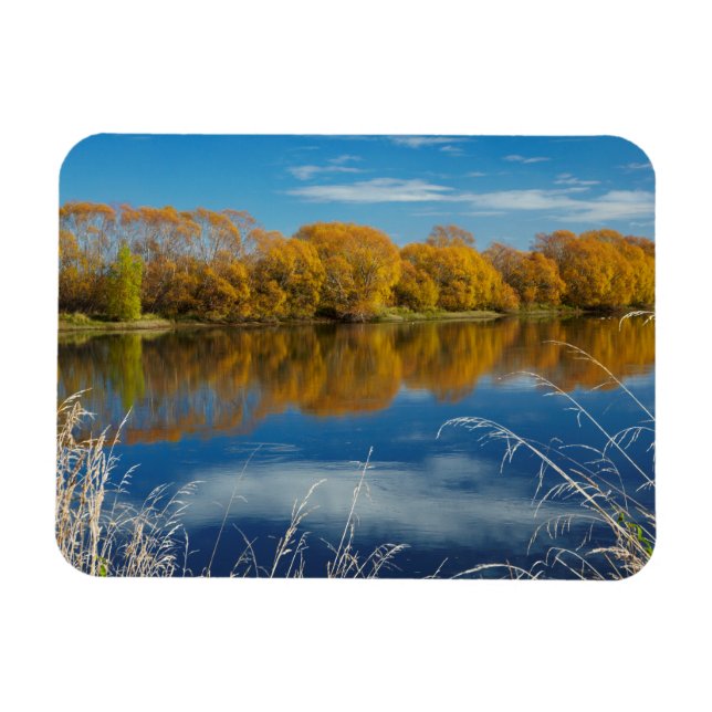 Autumn Along the Clutha River Magnet (Horizontal)