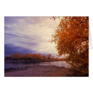 Autumn Along The River Note Card