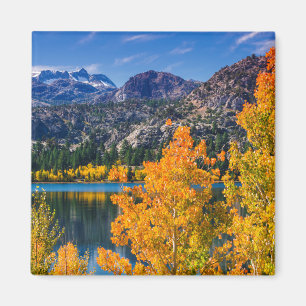 Autumn around June Lake, California Magnet