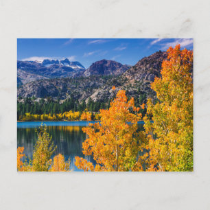 Autumn around June Lake, California Postcard