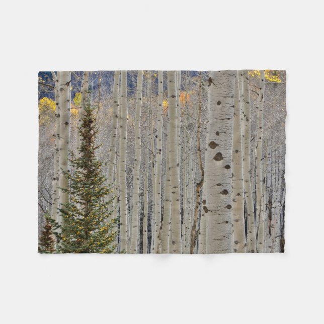 Autumn Aspen Groves | Colorado Rocky Mountains Fleece Blanket (Front (Horizontal))