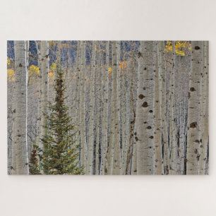 Autumn Aspen Groves   Colorado Rocky Mountains Jigsaw Puzzle