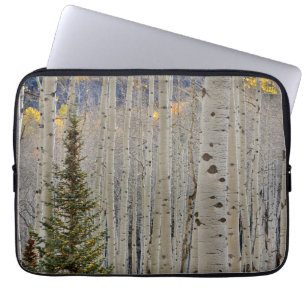 Autumn Aspen Groves Colorado Rocky Mountains Laptop Sleeve