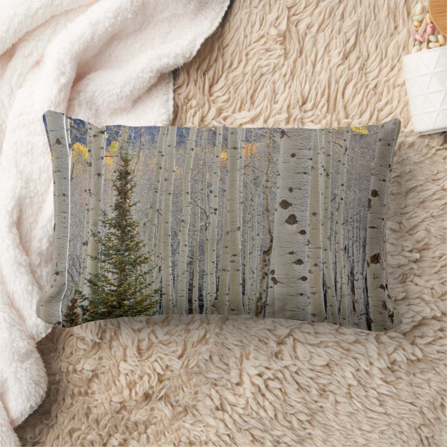 Autumn Aspen Groves | Colorado Rocky Mountains Lumbar Cushion (Blanket)
