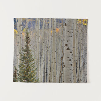 Autumn Aspen Groves | Colorado Rocky Mountains Tapestry