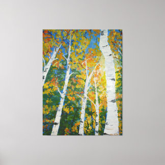 Autumn Aspen Poster Canvas Print