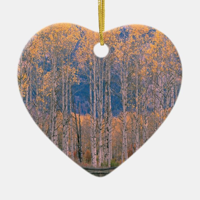 Autumn Aspen Splendour Jackson Hole Wyoming Ceramic Tree Decoration (Front)
