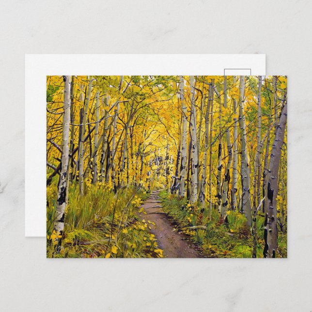 Autumn Aspen Tree Forest Postcard (Front/Back)