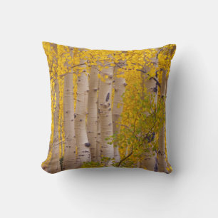 Autumn aspens in Kebler Pass in Colorado Cushion