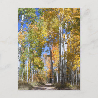 Autumn Aspens on Pinyon Mesa Postcard