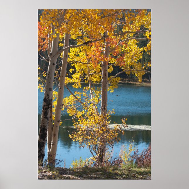 Autumn at Bear Lake Poster (Front)