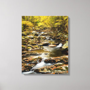 Autumn at Big Creek Canvas Print