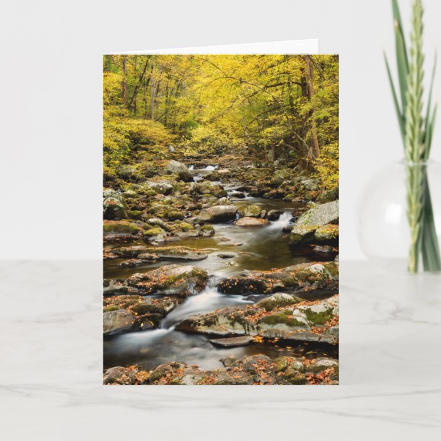 Autumn at Big Creek Card (Front)