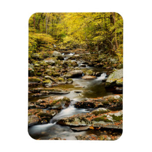 Autumn at Big Creek Magnet