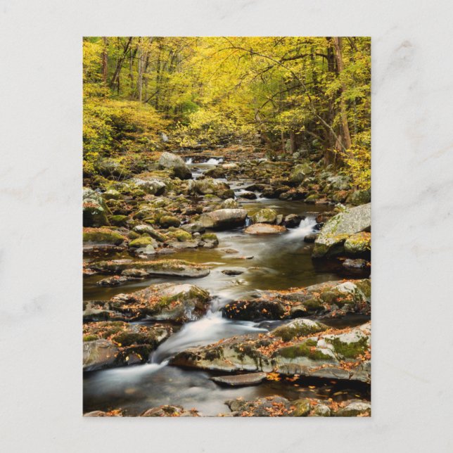 Autumn at Big Creek Postcard (Front)