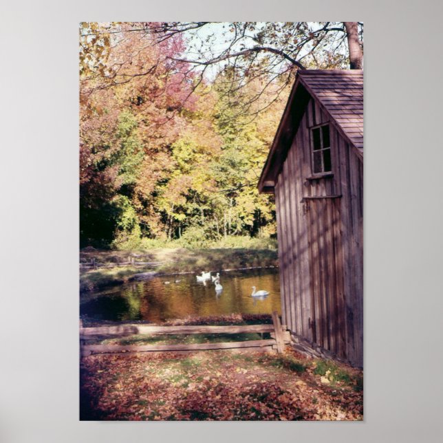 Autumn at Bronte Creek Poster (Front)