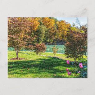 Autumn At Dogwood Postcard
