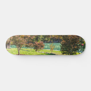 Autumn At Dogwood Skateboard