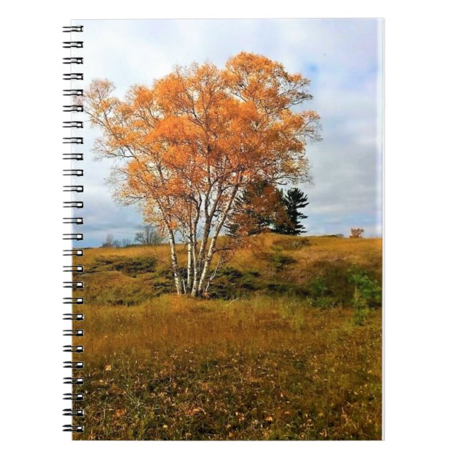 Autumn at Lake Michigan Notebook (Front)