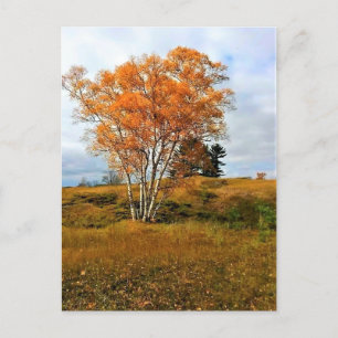 Autumn at Lake Michigan Postcard
