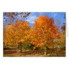 Autumn At Silver Lake #6