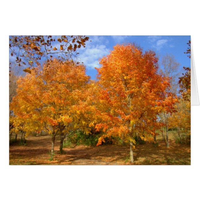 Autumn At Silver Lake #6 (Front Horizontal)