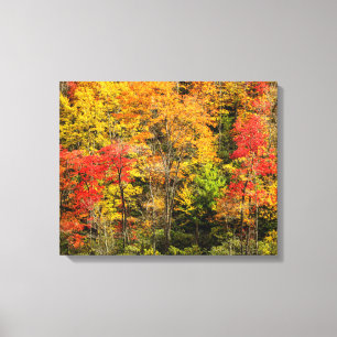 Autumn at Sims Pond North Carolina, Blue Ridge Canvas Print