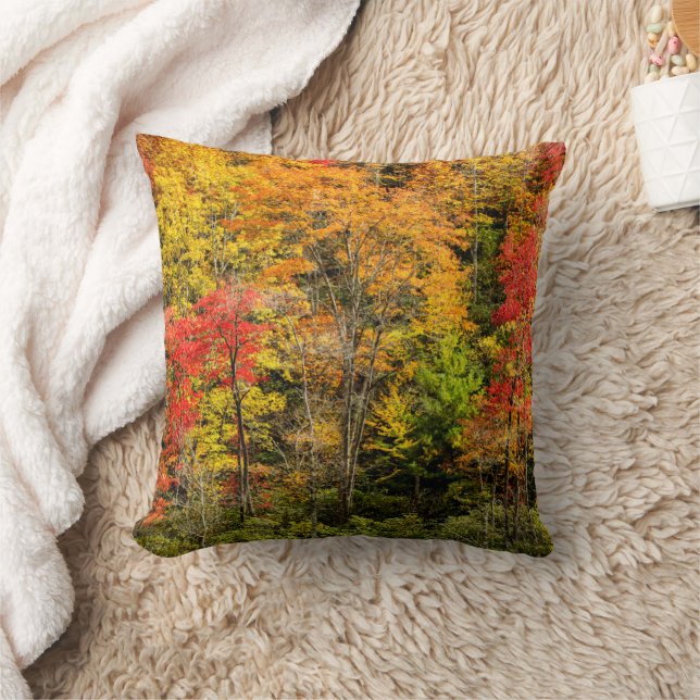 Autumn at Sims Pond North Carolina, Blue Ridge Cushion (Blanket)