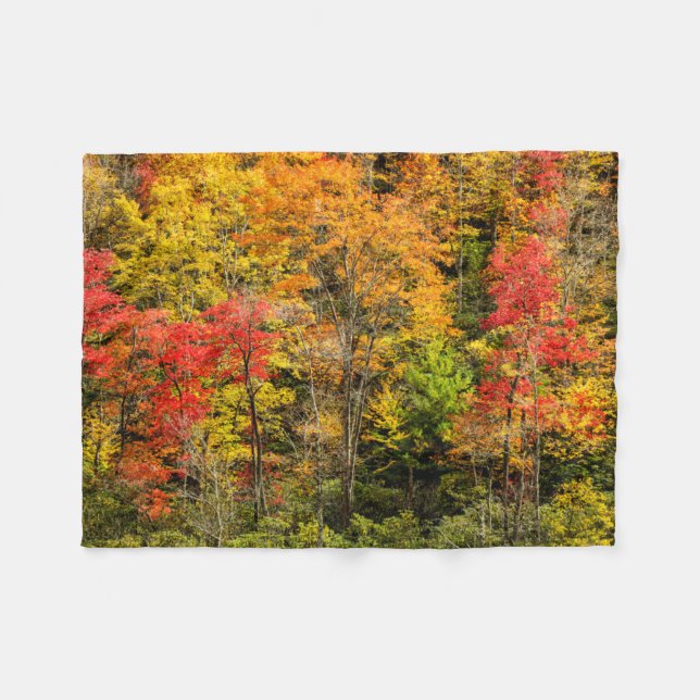 Autumn at Sims Pond North Carolina, Blue Ridge Fleece Blanket (Front (Horizontal))