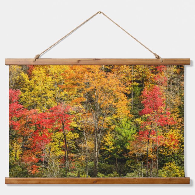 Autumn at Sims Pond North Carolina, Blue Ridge Hanging Tapestry (Front)
