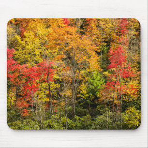 Autumn at Sims Pond North Carolina, Blue Ridge Mouse Mat
