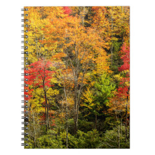 Autumn at Sims Pond North Carolina, Blue Ridge Notebook