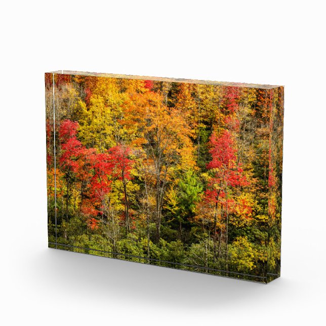 Autumn at Sims Pond North Carolina, Blue Ridge Photo Block (Right)