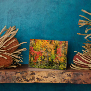 Autumn at Sims Pond North Carolina, Blue Ridge Plaque