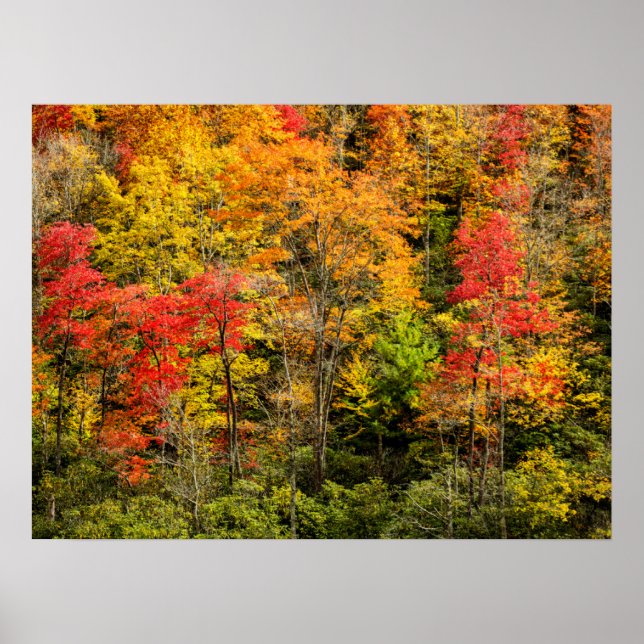 Autumn at Sims Pond North Carolina, Blue Ridge Poster (Front)