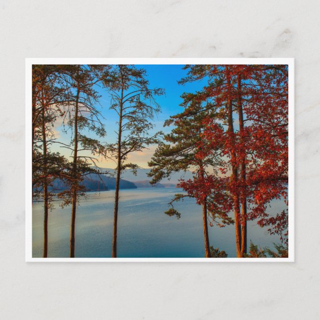 Autumn at SoHo Postcard (Front)