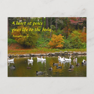 Autumn at the Duck Pond Postcard