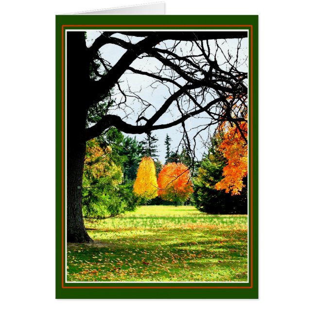 Autumn At The Park (Front)