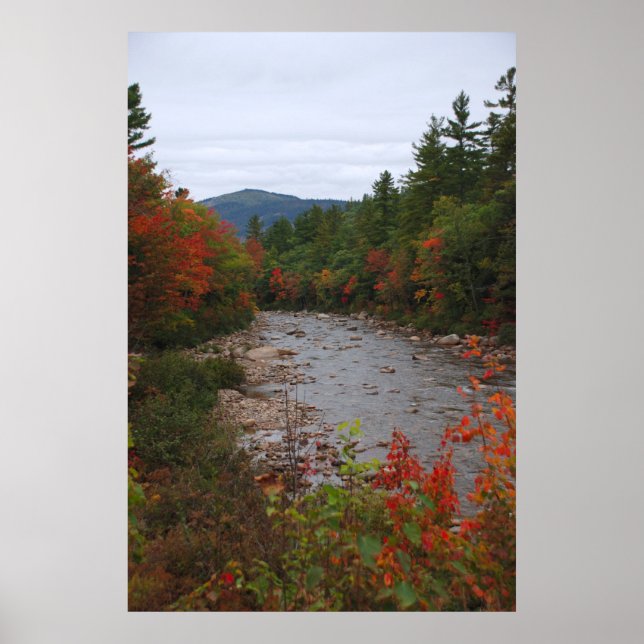 Autumn at the River Poster (Front)