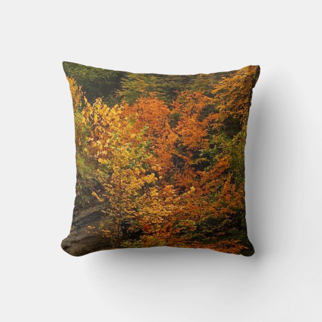 Autumn at Treman State Park Cushion (Front)