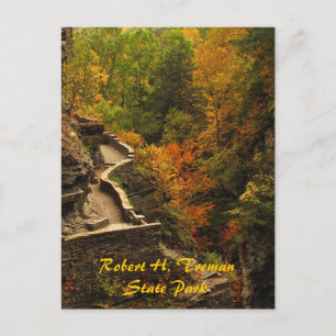 Autumn at Treman State Park Postcard