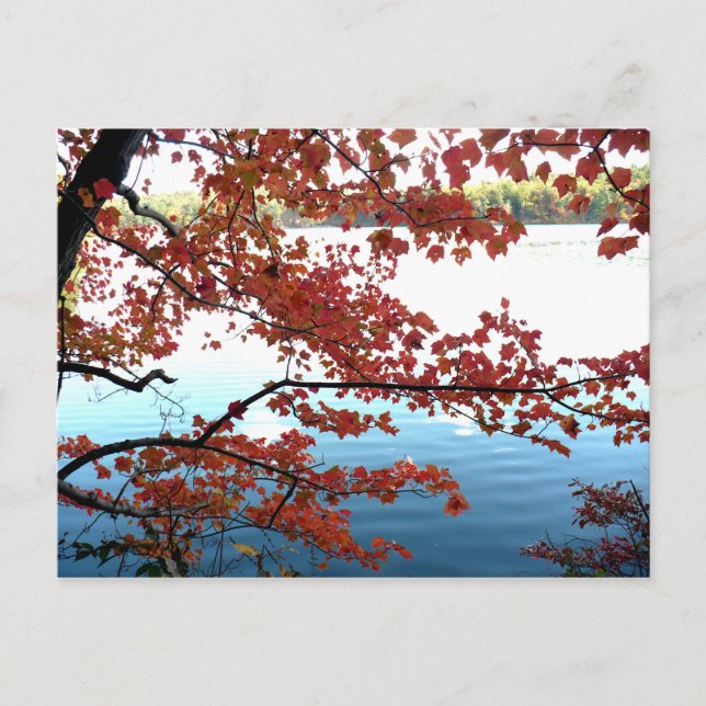 Autumn at Walden Pond Postcard (Front)