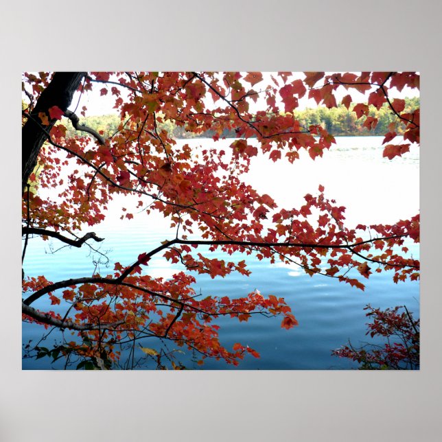 Autumn at Walden Pond Poster (Front)