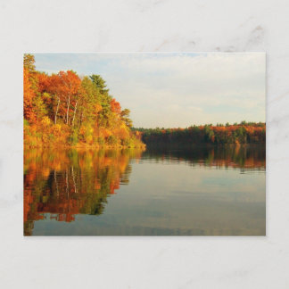 Autumn at Walden Postcard