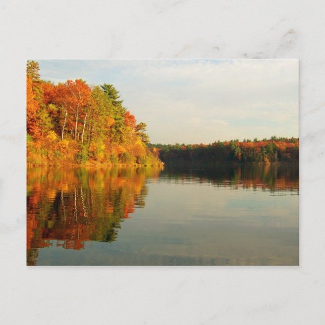 Autumn at Walden Postcard (Front)