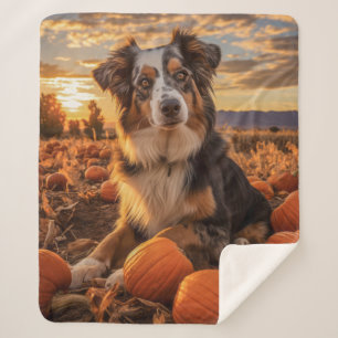 Autumn Australian Shepherd Sherpa Blanket