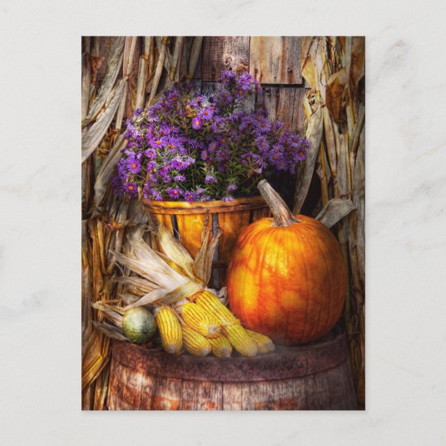 Autumn - Autumn is festive Postcard (Front)