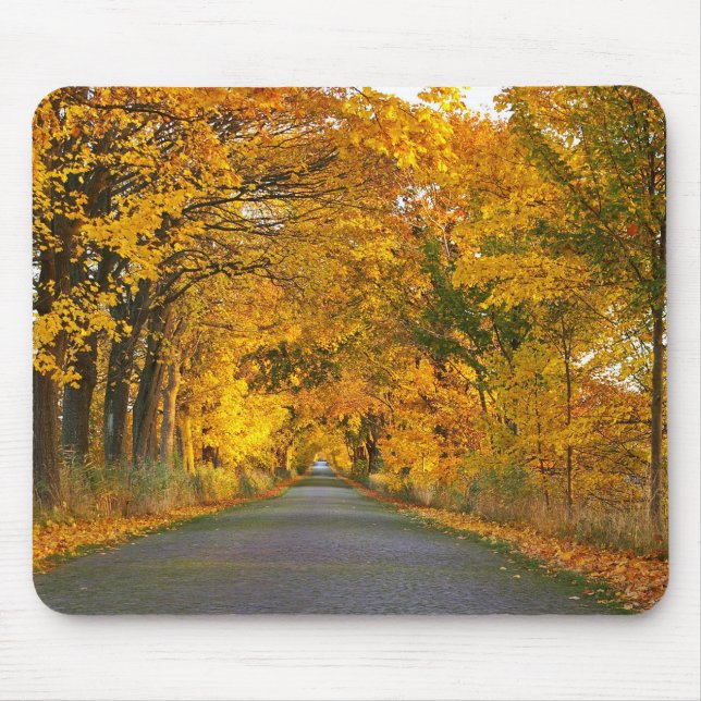Autumn Avenue Trees Away Road Mouse Mat (Front)