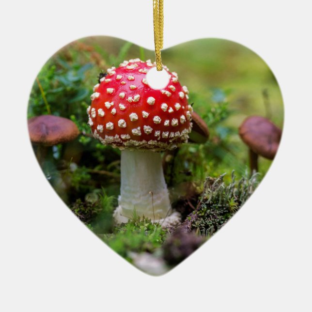 Autumn Beauty Ceramic Tree Decoration (Front)